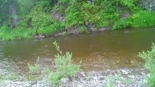 Весна!!!