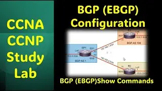 BGP (EBGP) Configuration - CCNA | CCNP Study Lab