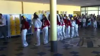 macon halay grubu