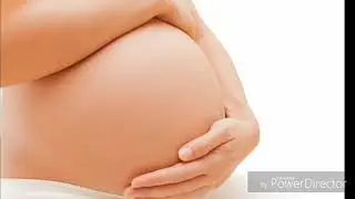 permanent pregnant belly forced subliminal