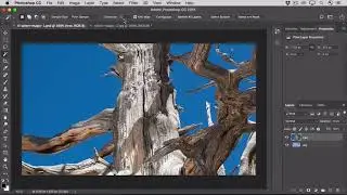 41 | Magic Wand tool | Photoshop tutorials 2021 | Getall Channel 41