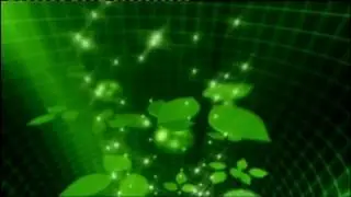 Video Background , wedding Background, Video Background HD 4K  1080P 321