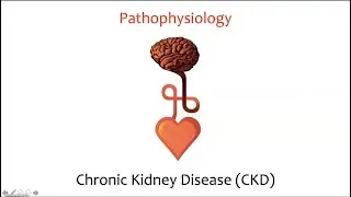 CKD