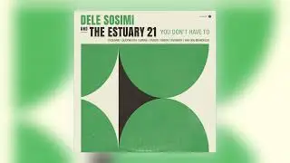 Dele Sosimi & The Estuary 21 - You Don't Have To [Audio]