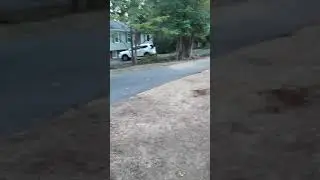 Front yard overseeding & clean-up - Part 5
