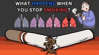 What Happens When You Quit Smoking | Effects of Smoking | Quit Smoking Now