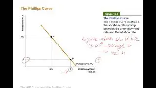 The Phillips curve