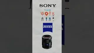 Best All rounder Lens for Sony #sonylenses #zeisslens #portraitphotography