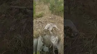 8 квітня 2023 р.