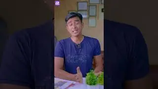 Whatsapp New Upcoming Username Feature