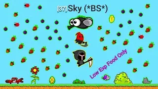 All Animals Evolution After Level 37 And Low Exp Food Challenge (EvoWorld.io)