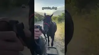 Поймали тайфунчика ❤️