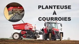Planteuse a courroies DEWULF / plantation de pomme de terre en Alsace / MF 6S135 / Green'puls