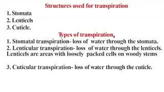 Form 2 KCSE Biology. Topic: Transport in plants and animals. Subtopic: Transpiration. Lesson 6