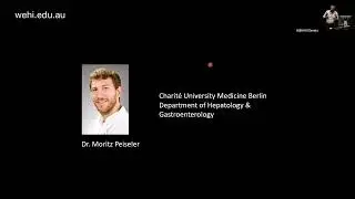 Paul Kubes (2023) Imaging the immune system during tissue repair and disrepair