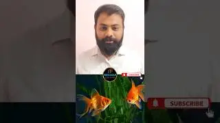 Parenting | Survivability | பெற்றோருகளுக்கான காணொளி