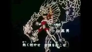 Cavaleiros do Zodiaco - AMV 12 Casas