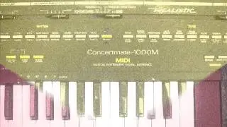 Realistic concertmate 1000M/ Casio MT-240