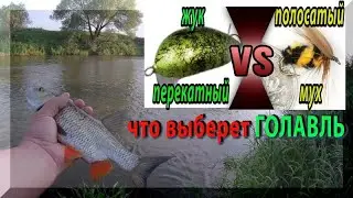 Что выберет ГОЛАВЛЬ? Воблер или муху? Не ожидал такого результата. Ловля голавля на спиннинг.