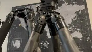 tripod anatomy