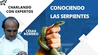 CONOCE EL MUNDO DE LAS SERPIENTES DE TIERRA