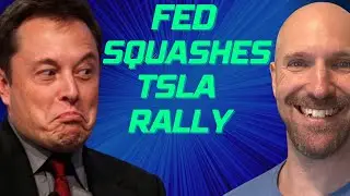 TSLA falls as Fed puts a stop to the rally! 