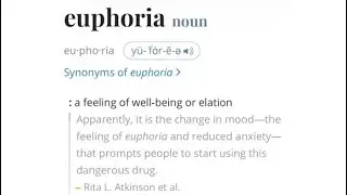 Raw Tune - Euphoria [Official Audio]