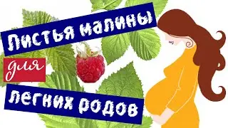 Листья малины при беременности для легких родов | как я готовлюсь к родам