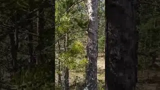 Покатушки в Трёхозерке🛺