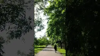 Карашаева. Ореховая роща