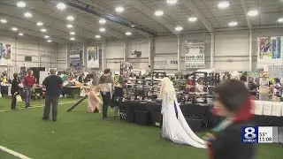 Comic books, pop culture phenomenons come to life at Flower City Comic Con