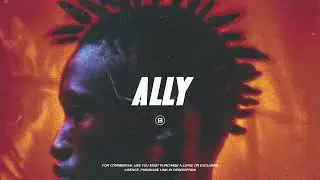 "Ally"  -  Omah Lay x Wizkid x Afrobeat type beat | Afrobeat Instrumental 2024 (FREE)