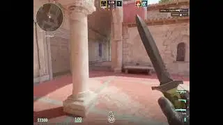 eco ace clutch
