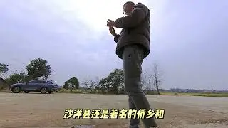 沙洋县油菜花
