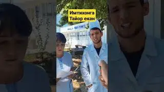 Доктор имтихон топширди