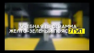 7 ГУП - ЖЕЛТО-ЗЕЛЕНЫЙ ПОЯС