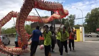 Yick Nam Dragon Dance 2014