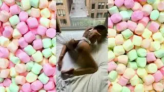 big bank challenge 🍩😋 tiktok #bigbank #viralvideo [sDDkosOzElk] 00-01-00_1 #000_s85lq2