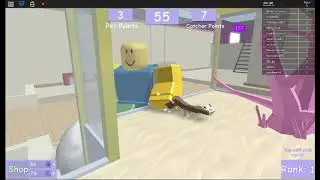 ЗЛОБНЫЕ НУБИКИ МЕНЯ ПОЙМАЛИ! (Roblox на русском)
