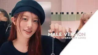 CHERISH(MY LOVE) | ILLIT (MALE VERSION)