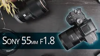 Sony Zeiss FE 55mm f1.8 - Long Term Lens Review
