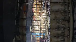 Лучший рецепт скумбрии на углях! 