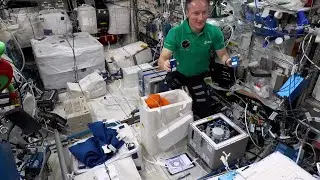 Watch European Space Agency astronaut Matthias Maurer installing the MicroAge experiment on the ISS
