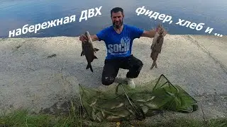 набережная Десногорского водохранилища - хлебушек и лещ на фидер...