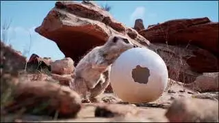 UE4 Meerkat Demo
