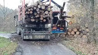 Загрузка древесины в контейнер.