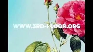 3rd Floor 2014 ShowReel