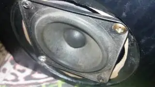 Bass