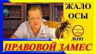 ПРАВОВОЙ ЗАМЕC N101. ЖАЛО ОСЫ