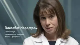 Всё о Вэлнэс Пэк